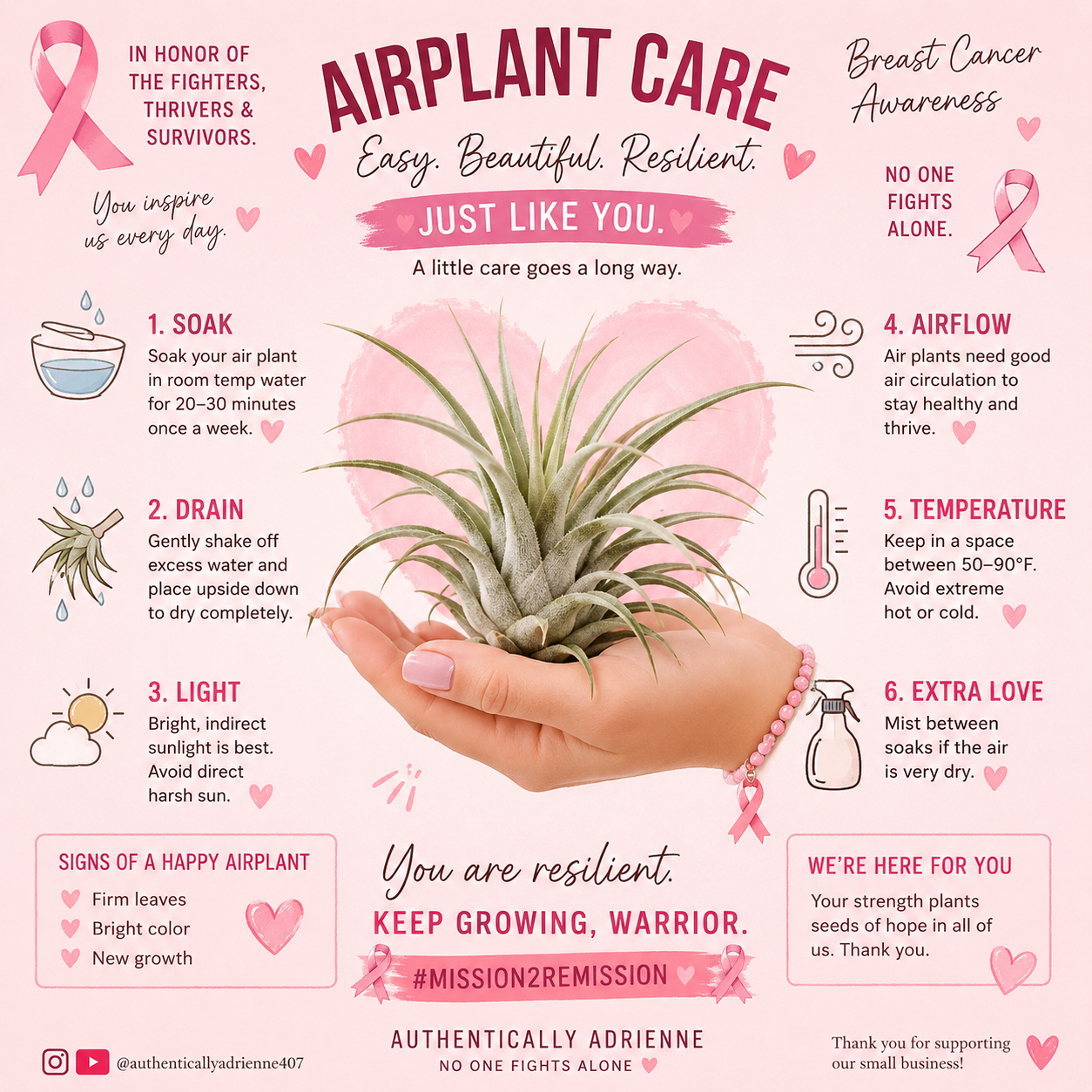 Emotional Support Plant
